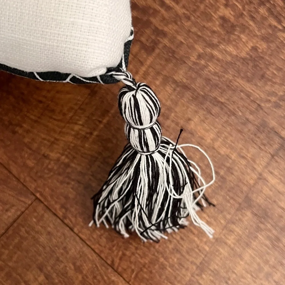 Brand new Halloween EEK! Pillow w/tassels black white spider webs rectangle